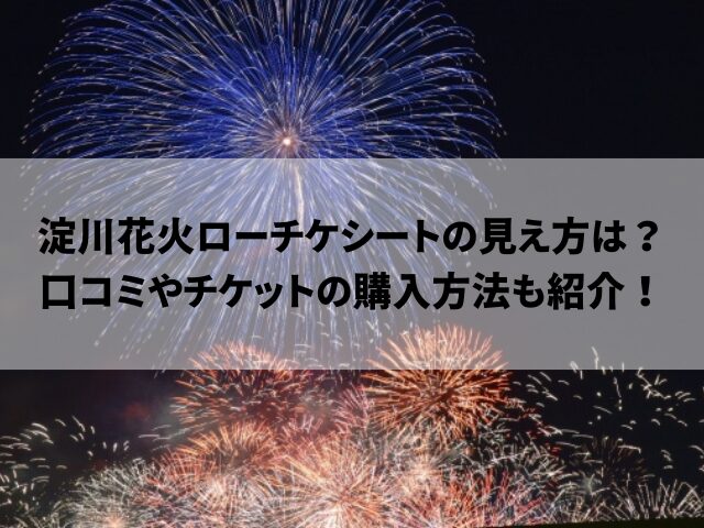 ☆2枚☆ 先行販売購入分 2024 なにわ淀川花火大会 ローチケ 嬉しかっ